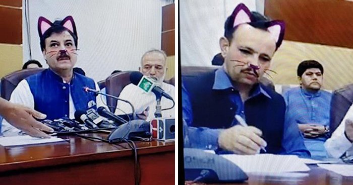 Пакистанские политики в прямом эфире случайно включили Cat Filter
