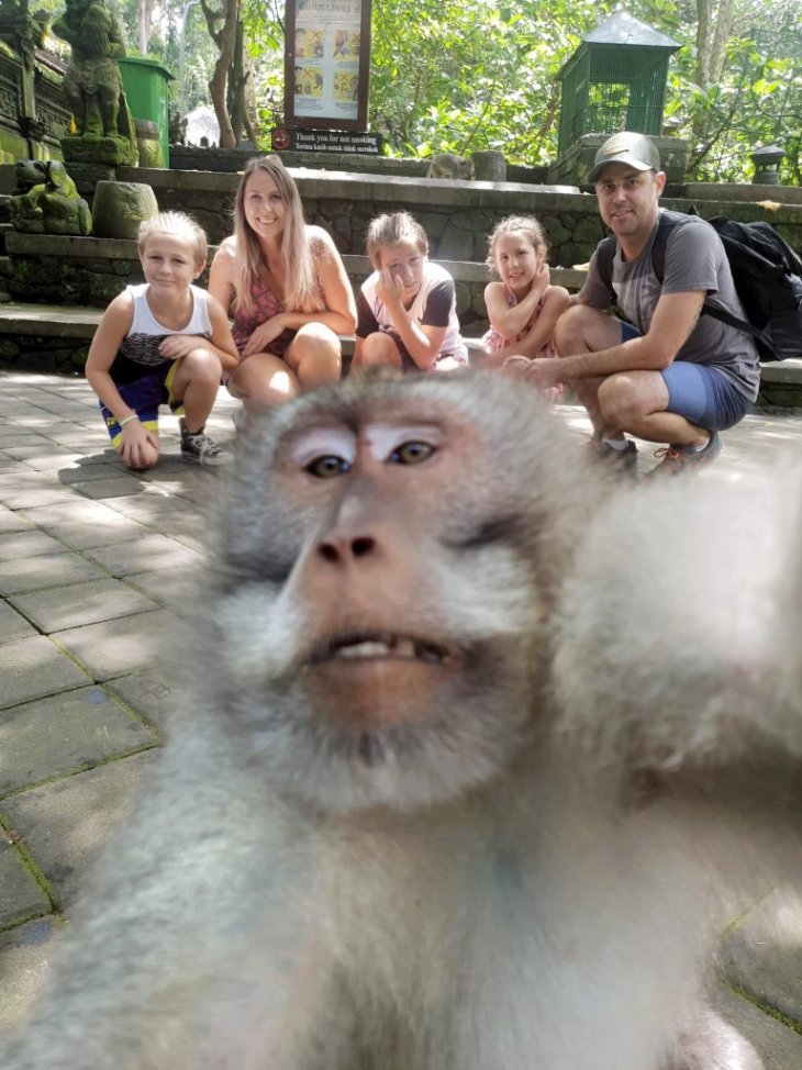 Обезьяна испортила семейную фотографию на Бали