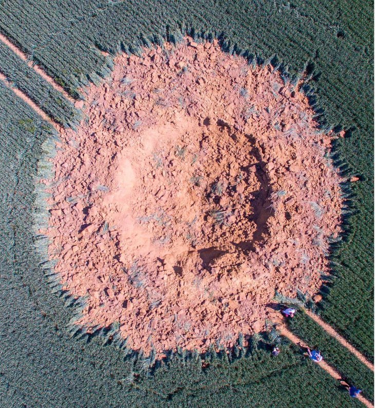 На кукурузном поле в Германии самопроизвольно взорвалась огромная бомба времен ВОВ