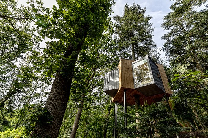 Необычный отель - домик на дереве в Дании