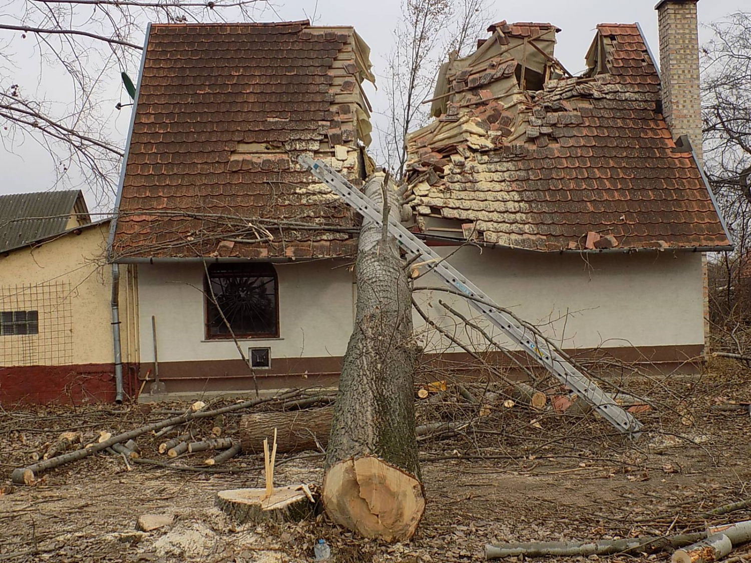 Сосед спилил деревья. Дерево упало на дом. Упавшее дерево на дом. Упало дерево на крышу дома. Дерево упало на частный дом.