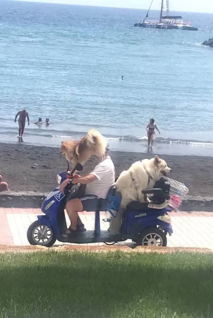 ���������� ���������� - ���������� ������