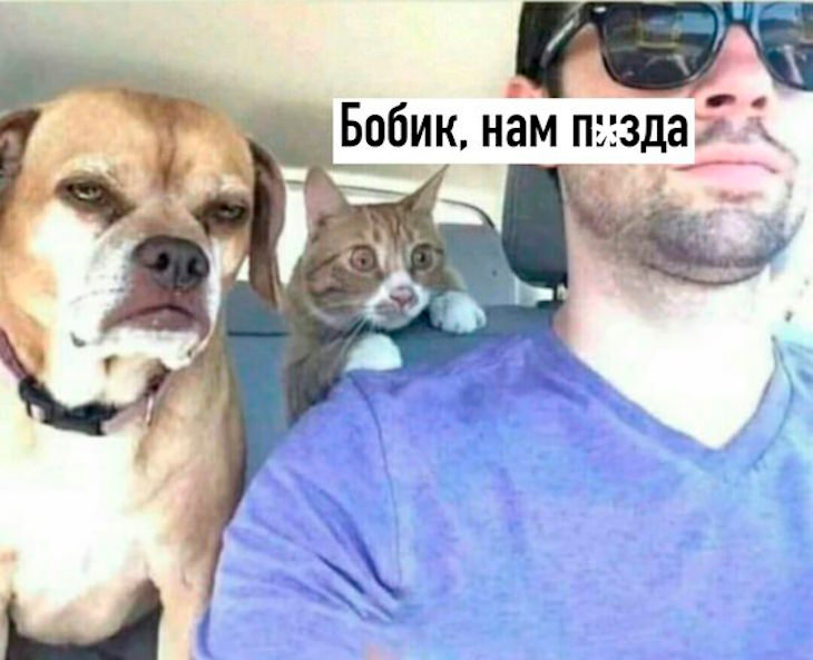 За мгновенье до неизбежного