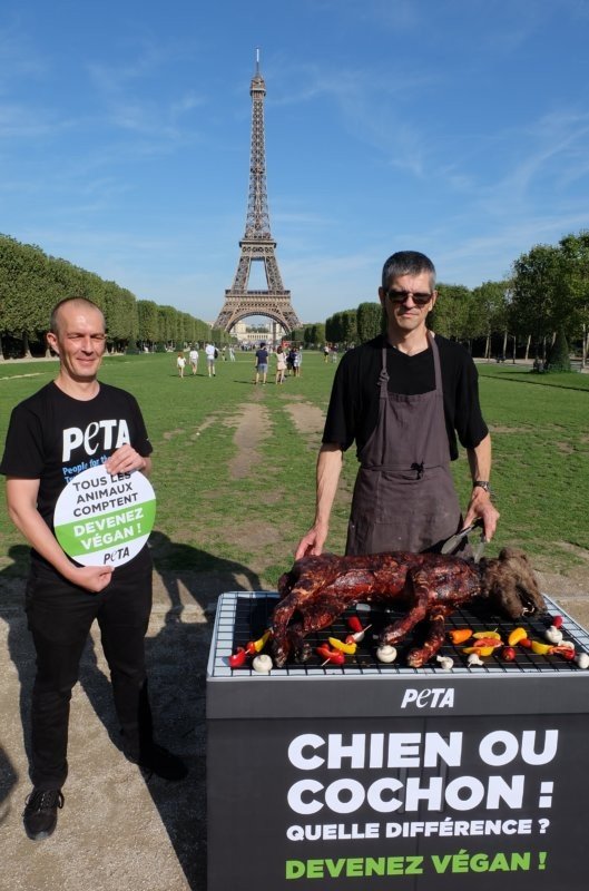 Веганы бросают вызов туристам в Париже с барбекю из собаки