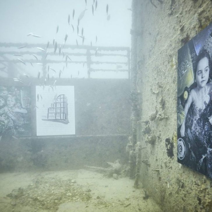 Подводная выставка венского фотографа Андреаса Франке