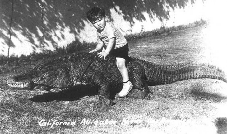 Когда дети играли с аллигаторами