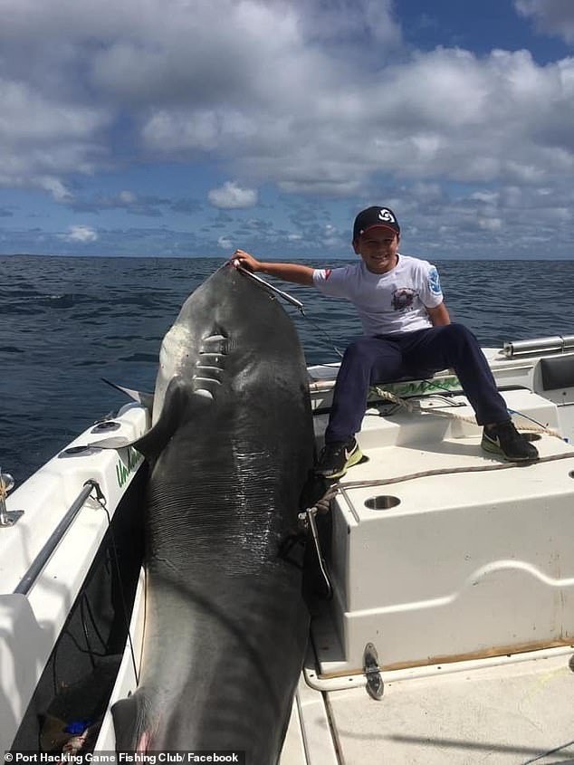 Восьмилетний австралийский мальчик поймал гигантскую тигровую акулу весом 314 кг