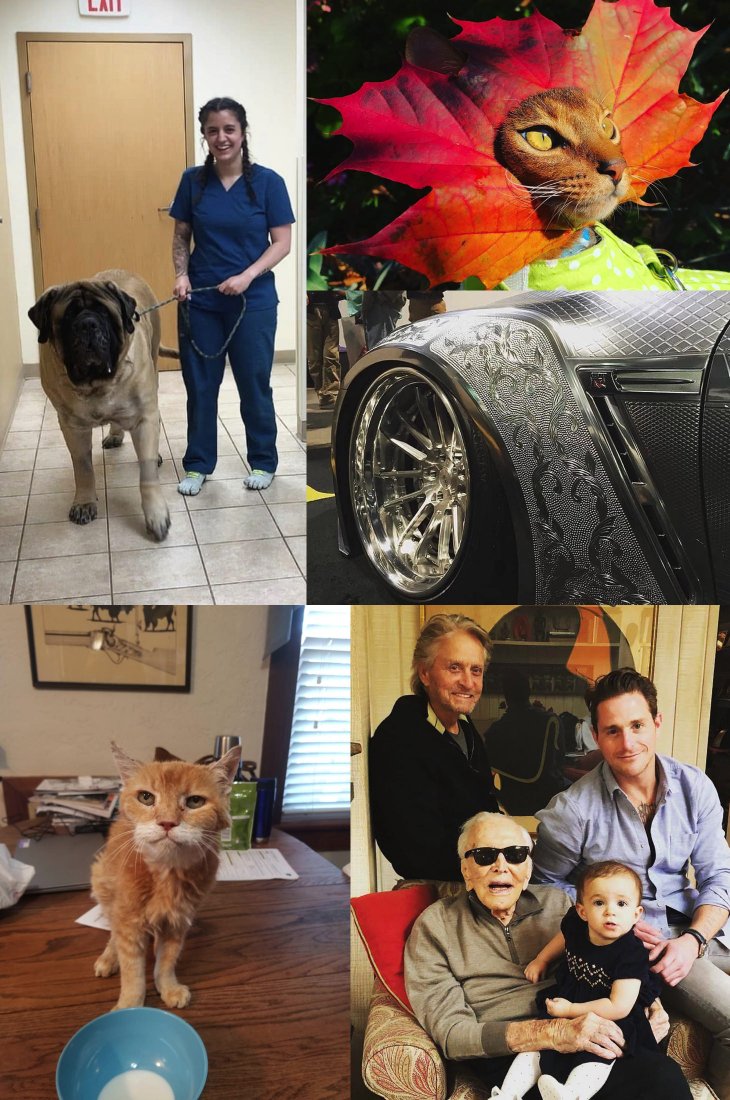 ���������� ���������� - �������� ������