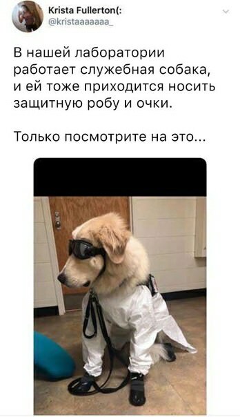 ������� �����, ����������� � ��� 