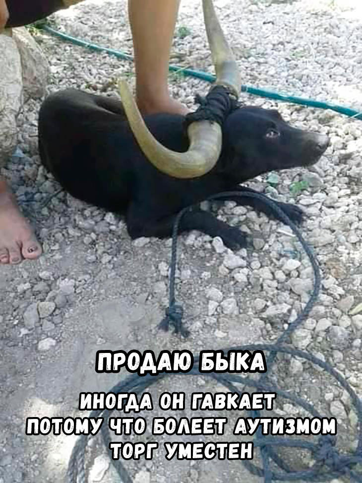 ����� ����� ����?