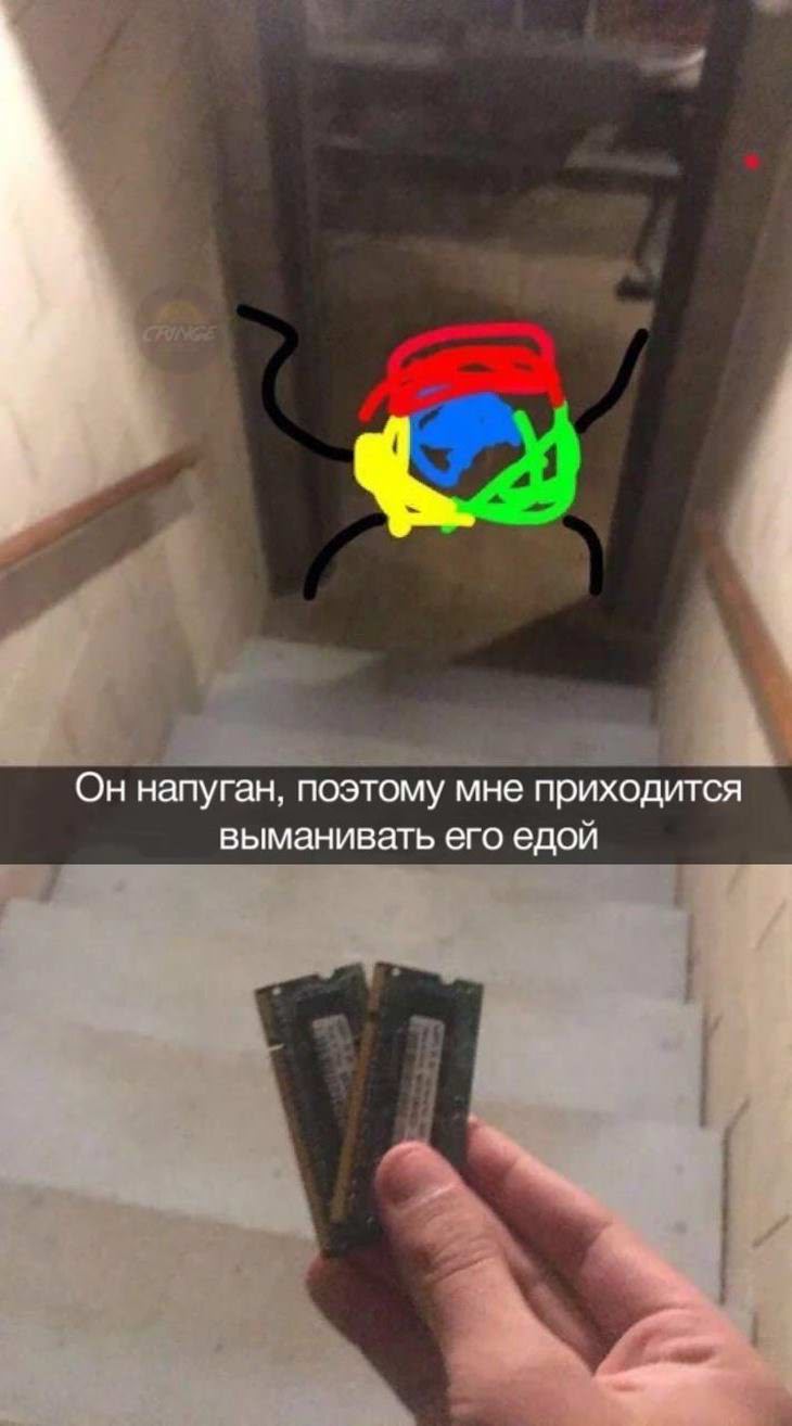 ���� � �������� 