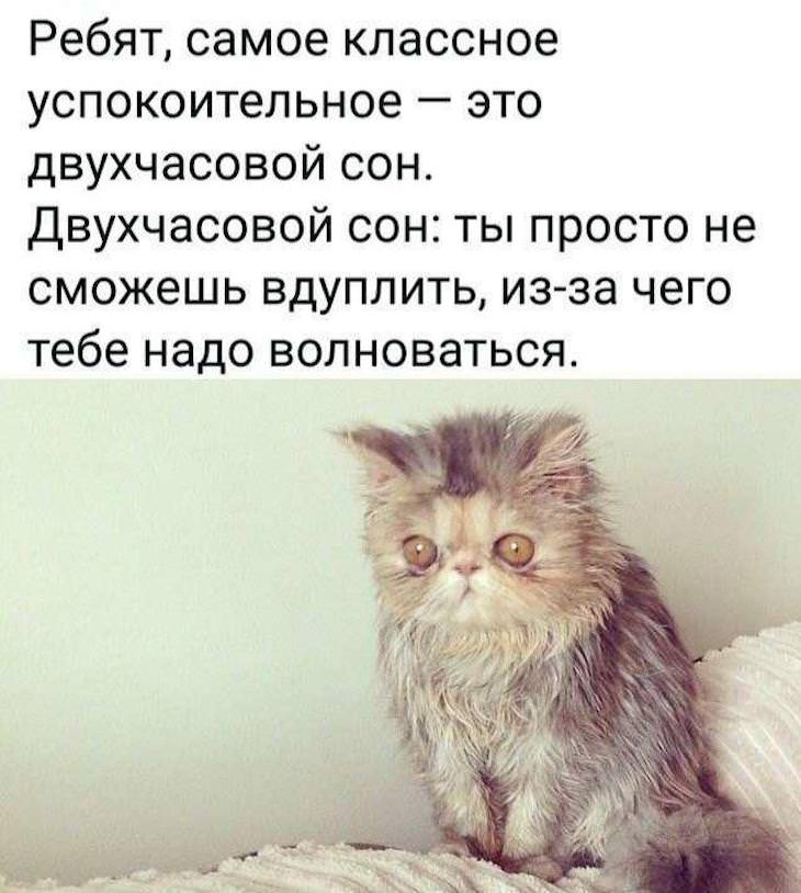 ���� � �������� 