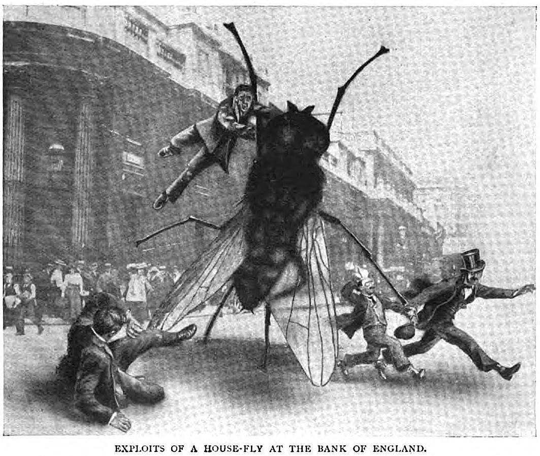 Нападение насекомых. Атака гигантских насекомых. Гигантский комар Pathfinder.