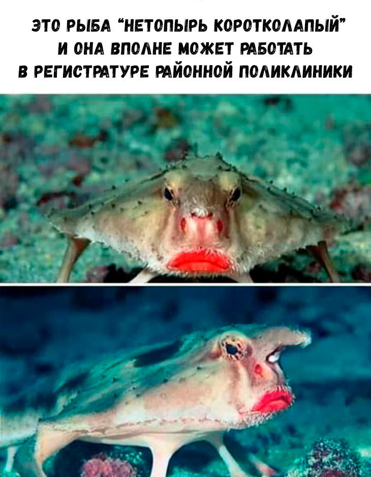 ���� � ��������