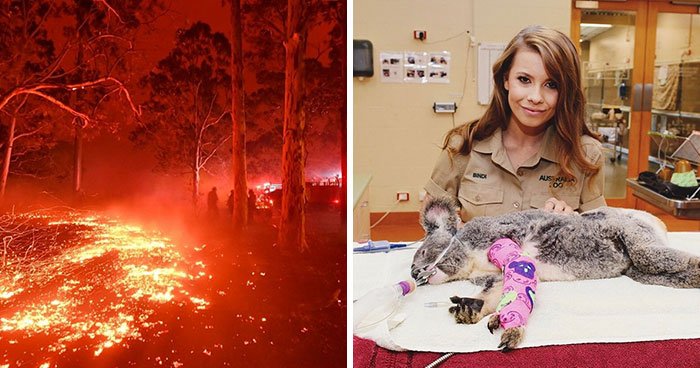 Семья покойного Стива Ирвина участвует в спасении животных Австралии