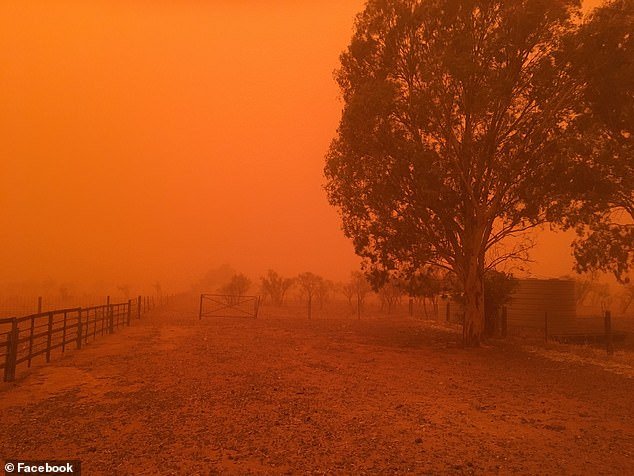 После лесных пожаров и наводнений на Австралию обрушились пыльные бури