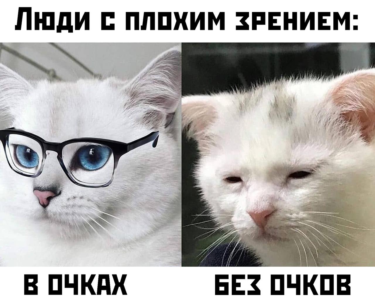 Мемы про плохое зрение