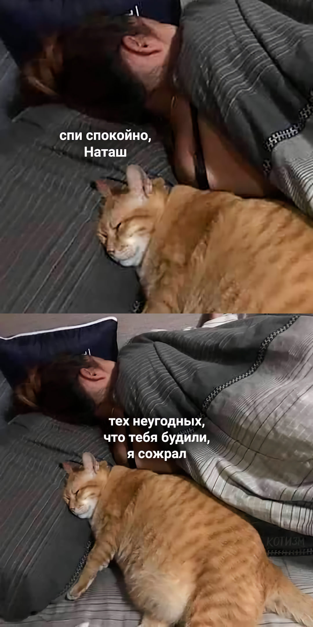 Хватит спать выходи на улицу. Спокойной ночи толстый котик. Наташа спи. Наташ ты спишь.