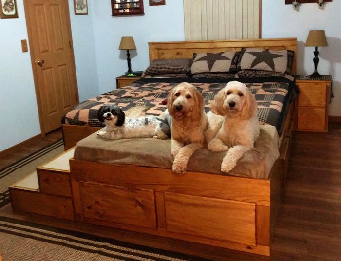 Кровати с лежанками для животных