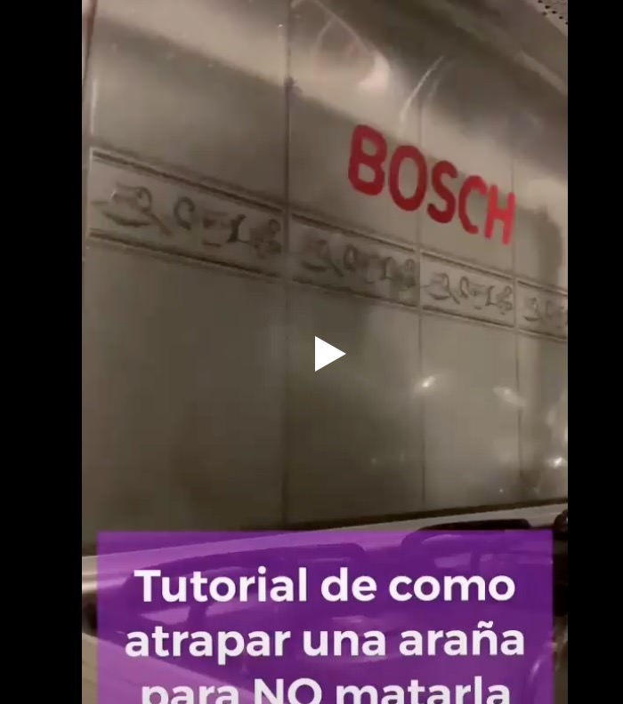 Как поймать паука