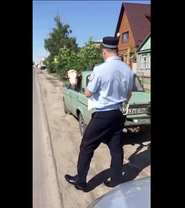 Почему пассажир не пристегнут?