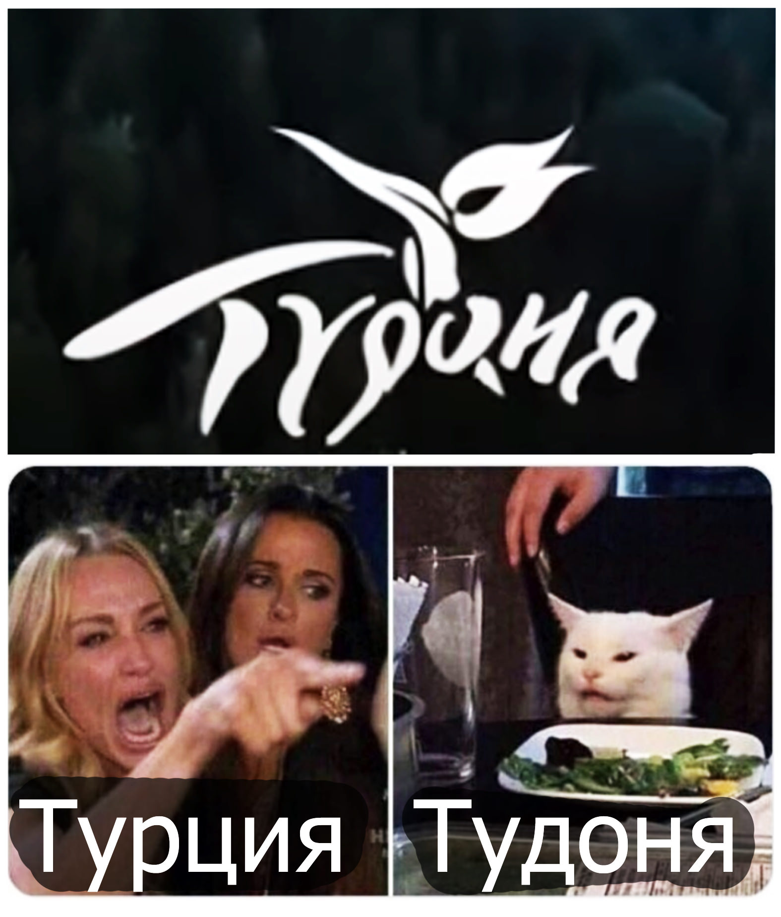 Мем с котов и девушкмаи