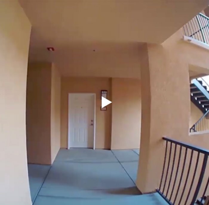 Преступление века