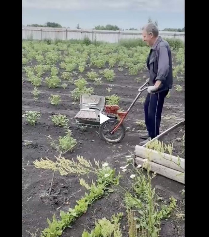 Приспособление для сбора колорадских жуков