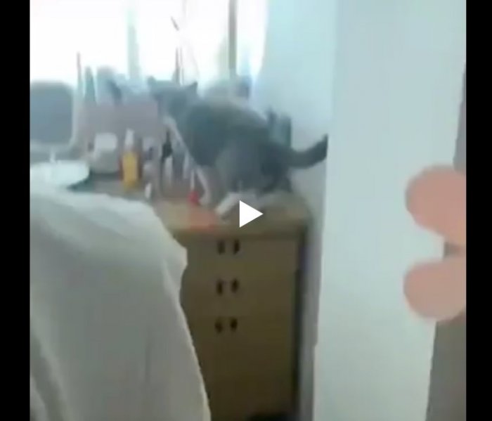 Твори бардак - мы здесь проездом!