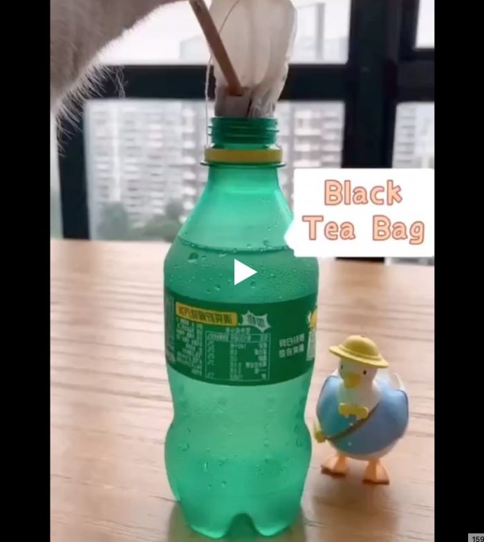 Летний коктейль от котика