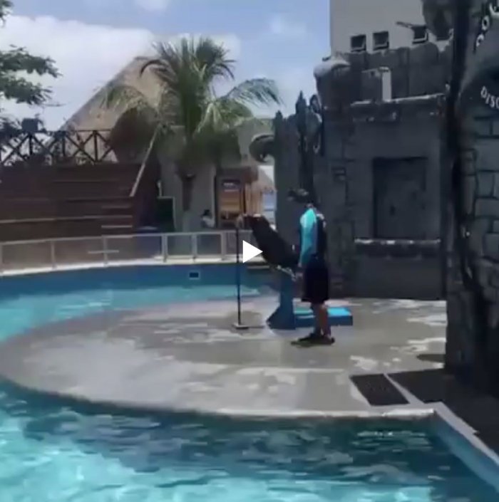 Живая музыка