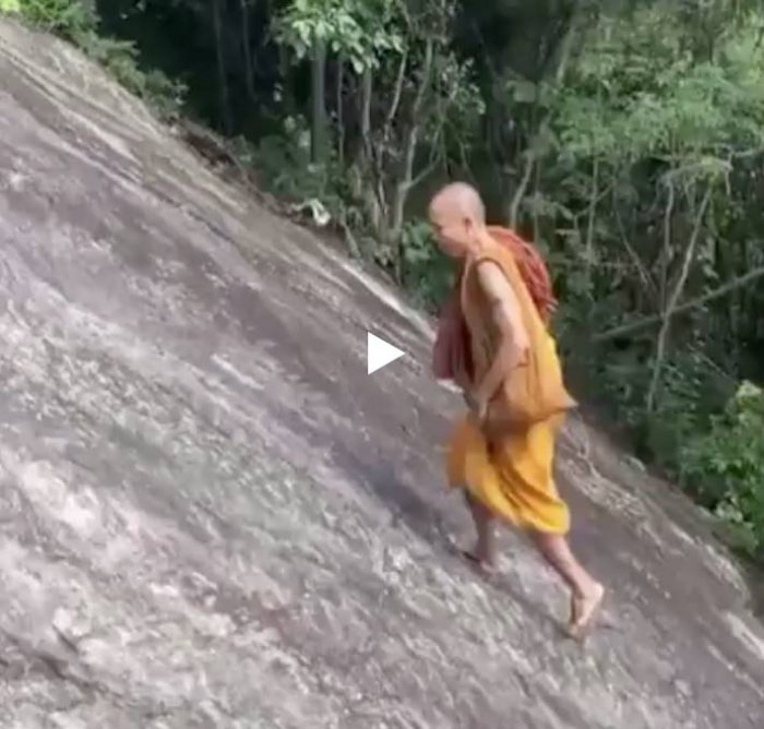 Когда постиг дзен