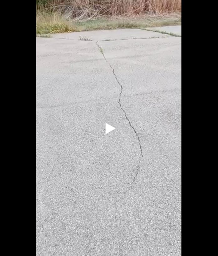 Зашел проведать лесного друга