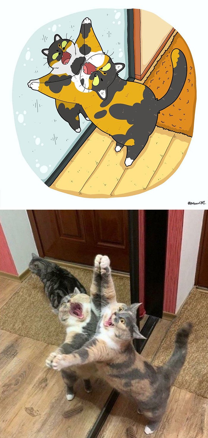 Самые известные кошачьи мемы  в рисунках
