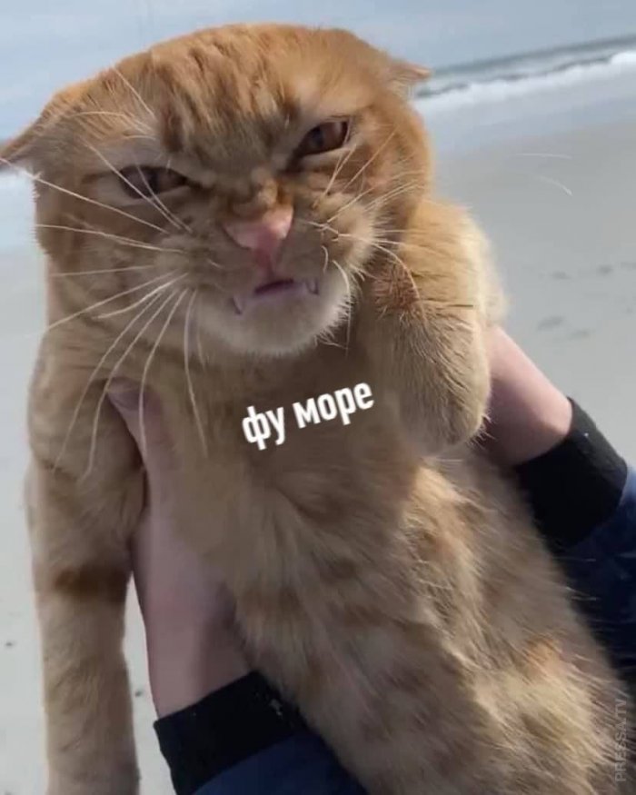 Я: Поскорей бы в отпуск на море