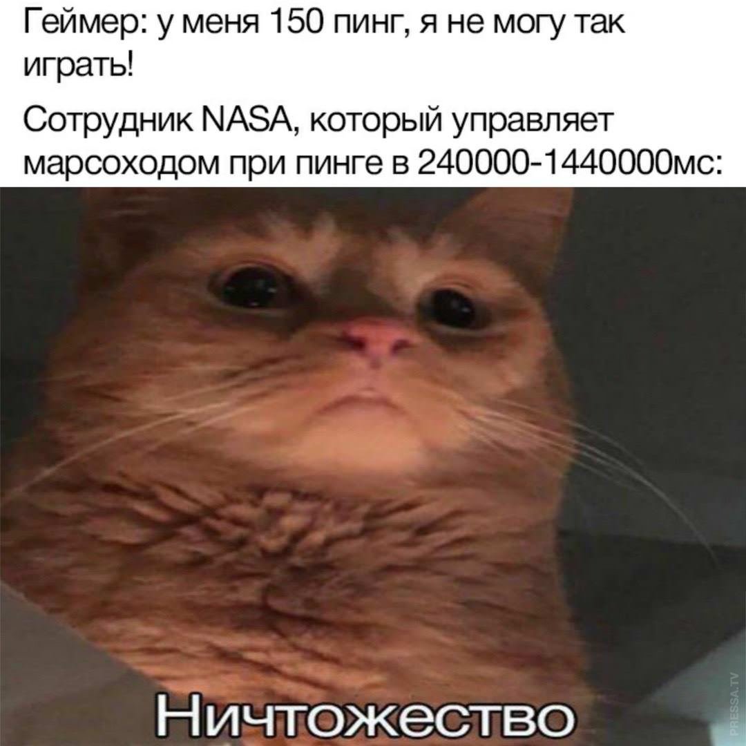 Ты воняешь картинка