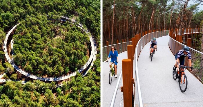 Кольцевая велосипедная дорожка над лесом в Бельгии