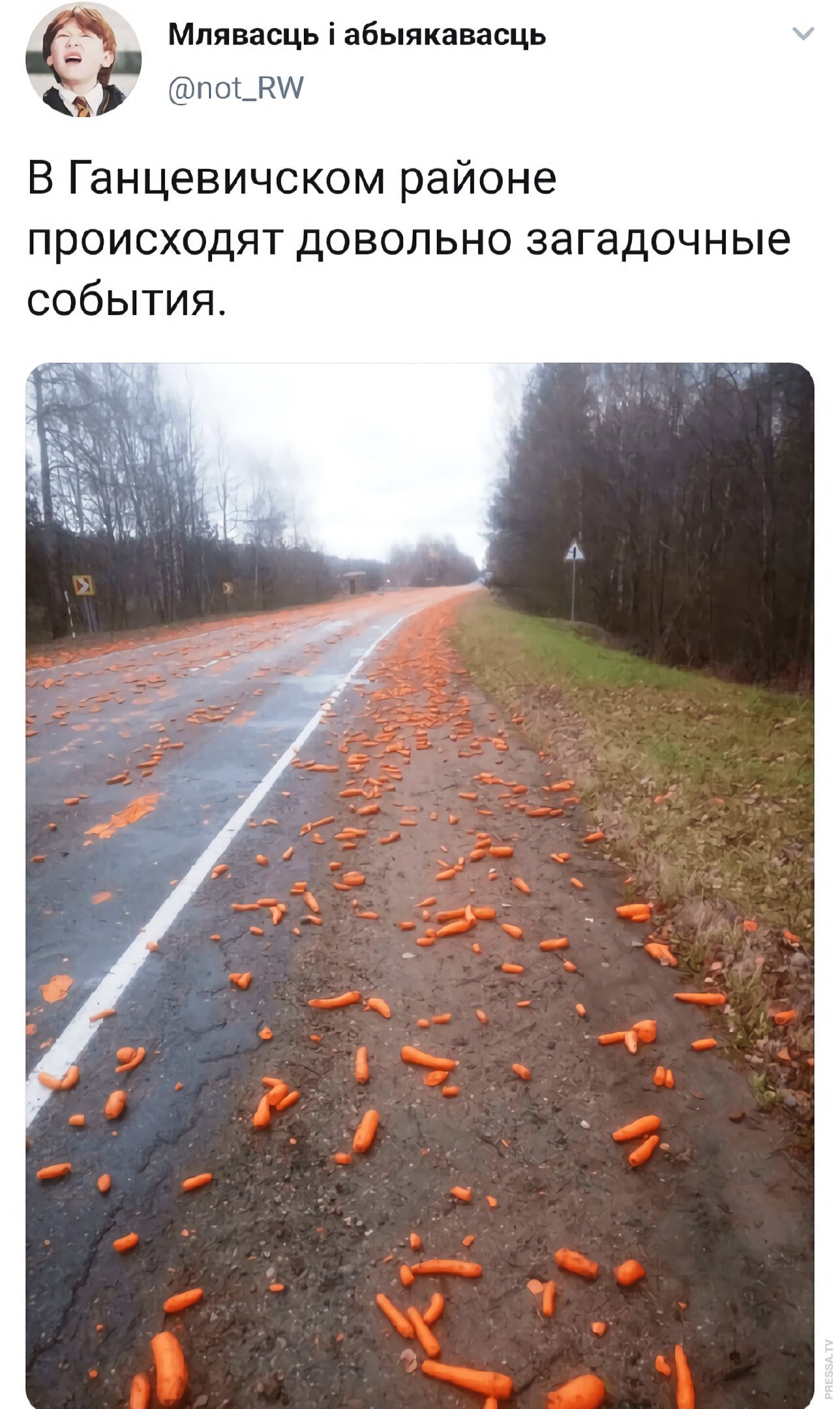 Песни шла босиком вдоль ночных дорог. Морковный дождик. Дорога с морковкой. Дорогая морковь прикол. Дождь из моркови.