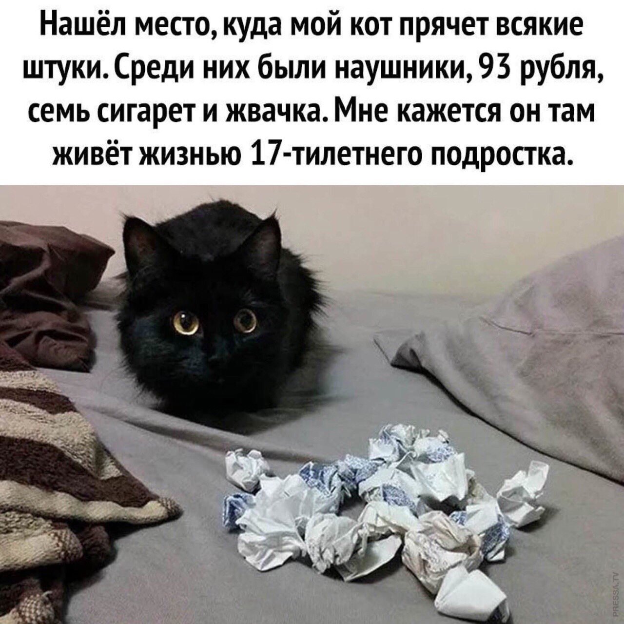 Вашего кота. Мой кот. Кот спрятал еду. Кот куда по помытому. Кот прячет деньги.