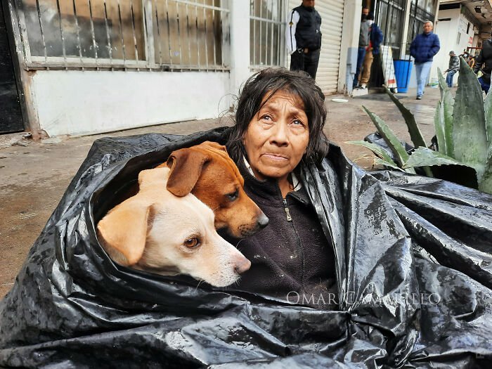 Бездомная женщина отказалась идти в приют, потому что ее не пускали с собаками