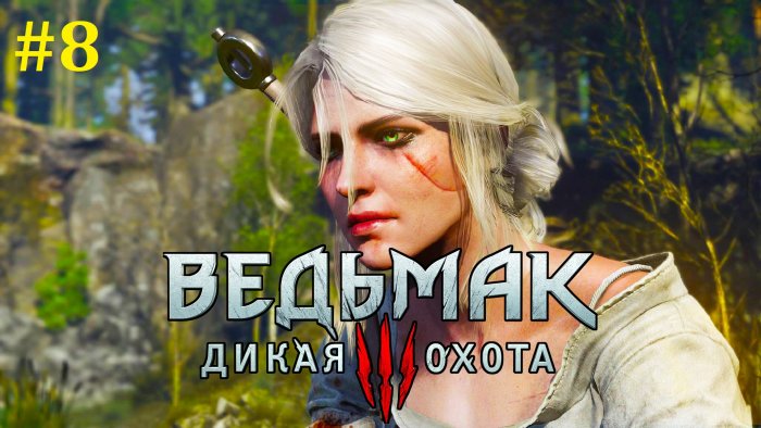 The Witcher 3  -    #8