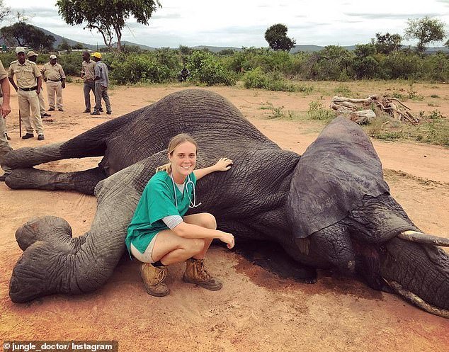 Девушка-ветеринар спасает слонов