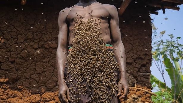 Мужчина из Руанды - самопровозглашенный Король пчел