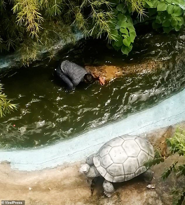 Посетитель тематического парка серьезно ранен крокодилом, которого он принял за пластиковую модель