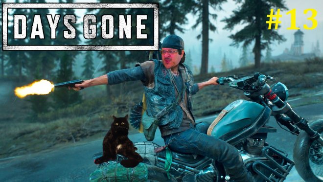 Days Gone  -  #13