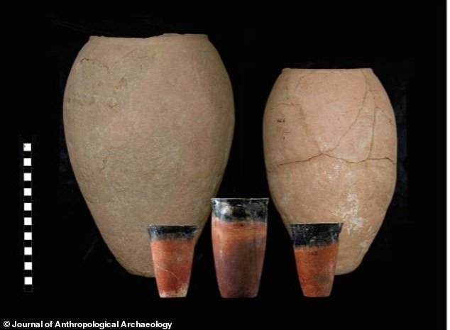 Древнеегипетская элита 5800 лет назад пила густое, похожее на кашу, пиво