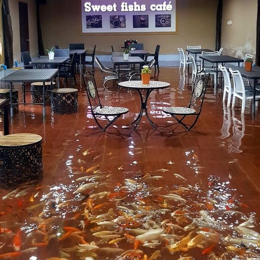 Sweet Fishs Cafе - необычное кафе в Таиланде