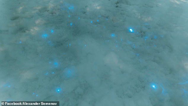 Светящийся снег на побережье Белого моря в России