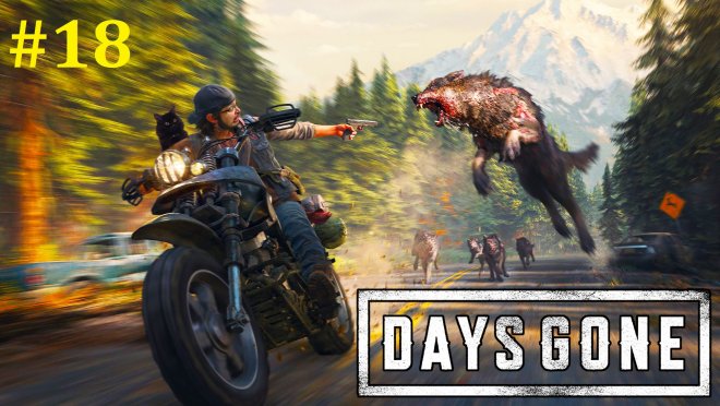 Days Gone  -  #18