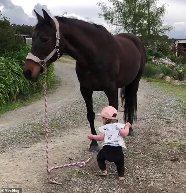 15-месячная девочка из Австралии гуляет с лошадью по ферме